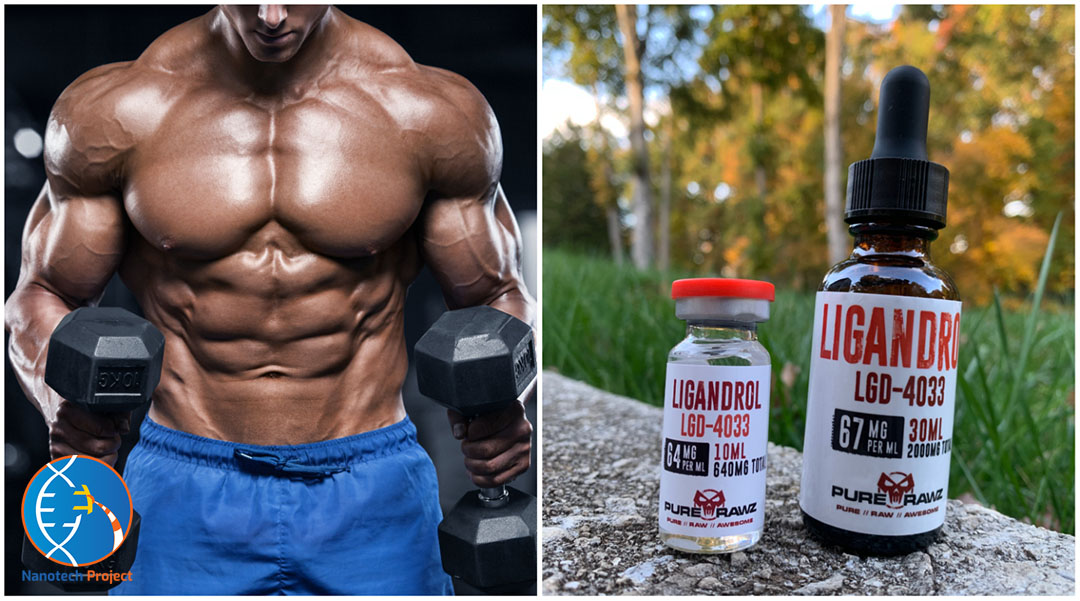 Ligandrol (LGD-4033) Guide: Results, Dosage, Cycles & More!