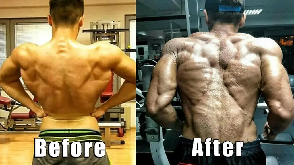 andarine before and after results