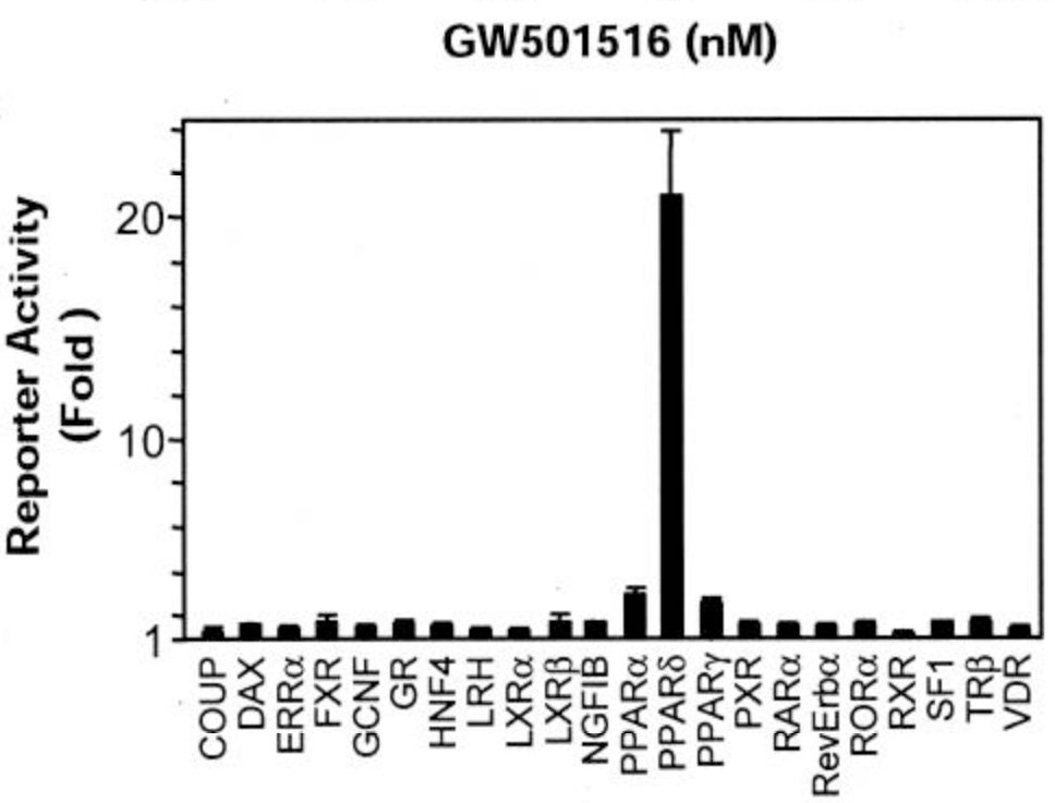 Cardarine (GW501516) Review: Dosage, Results, & More! (2024) Graph