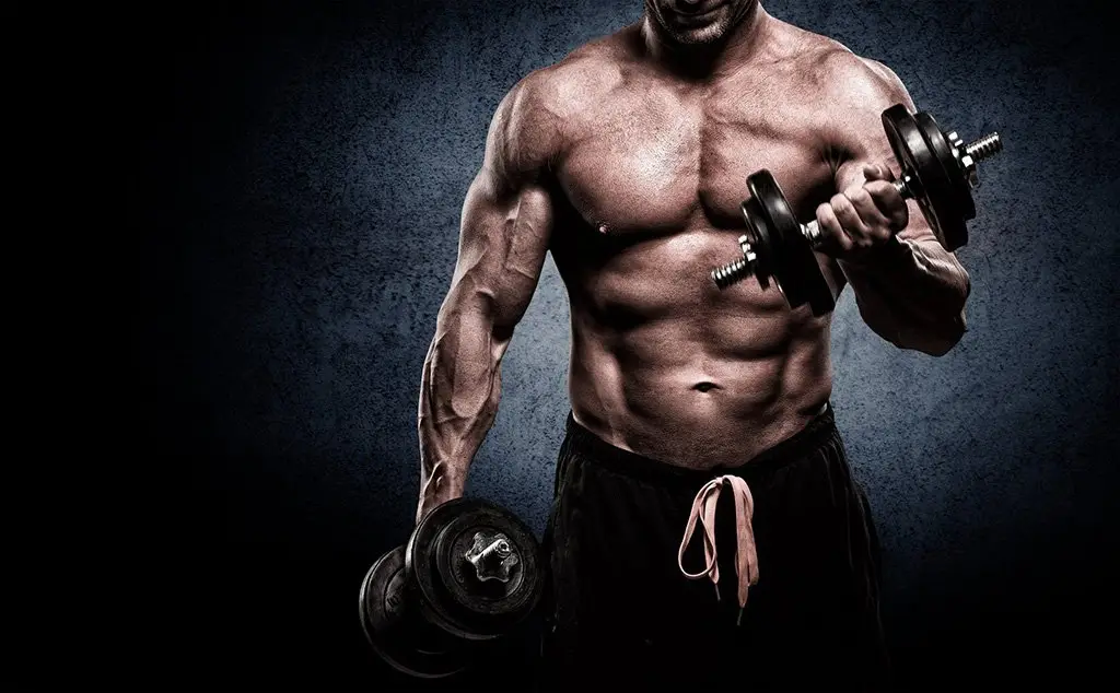 muscular bodybuilder lifting dumbbell
