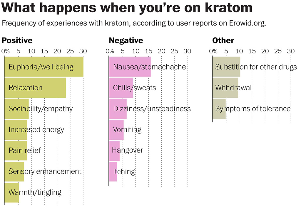 Kratom User's 2020 Guide: Strains, Dosage, Effects, & More!