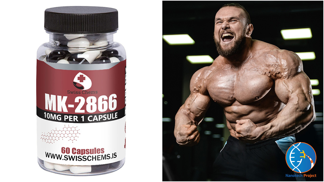 Swiss Chems Review: Are Their SARMs Still Legit?