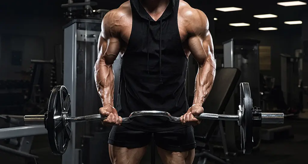 Muscular bodybuilder lifting weights in gym