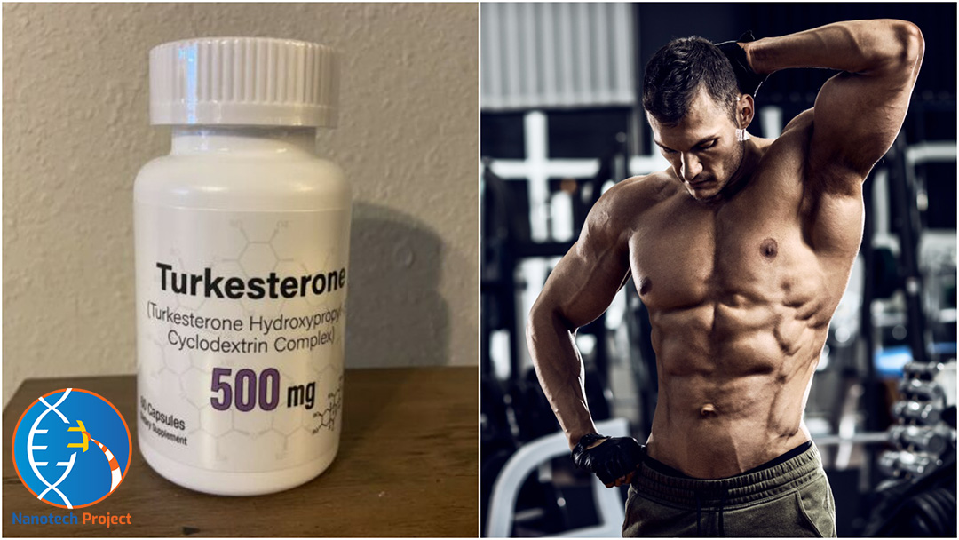 Full Turkesterone Guide Everything You Need to Know (2022)