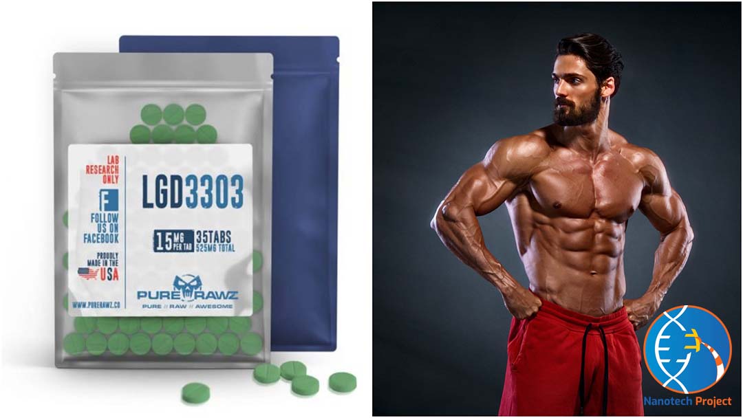 LGD 3033 Guide: Dosage, Results, Benefits, & More