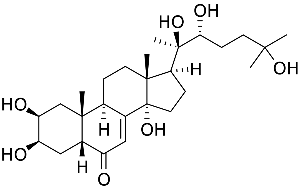 ecdysterone molecule