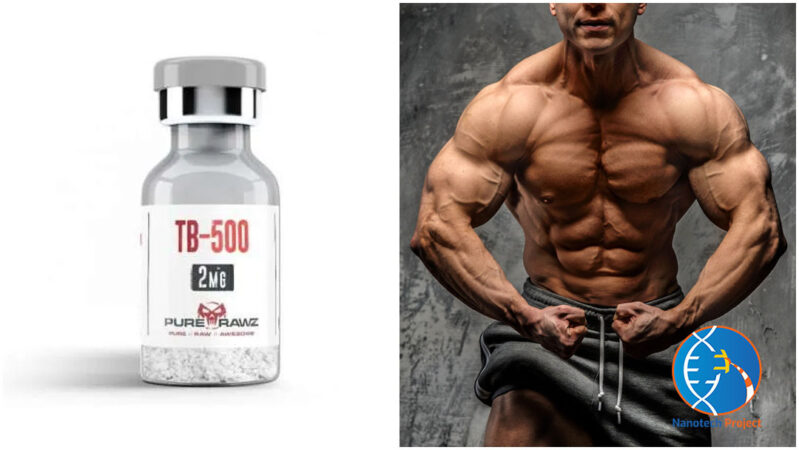 tb 500 Dosage | tb 500 Bodybuilding Side Effects | Nanotech