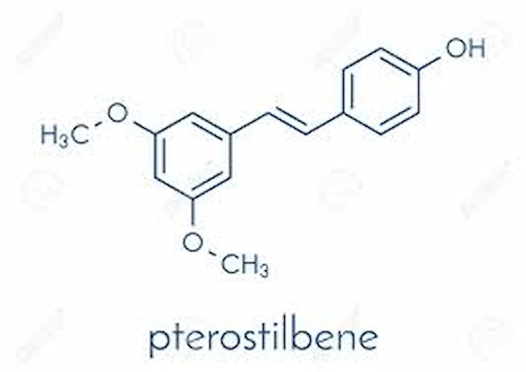 How Does Pterostilbene Work?