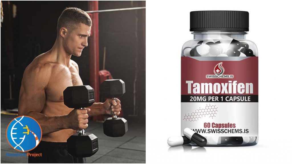 tamoxifen bodybuilding guide