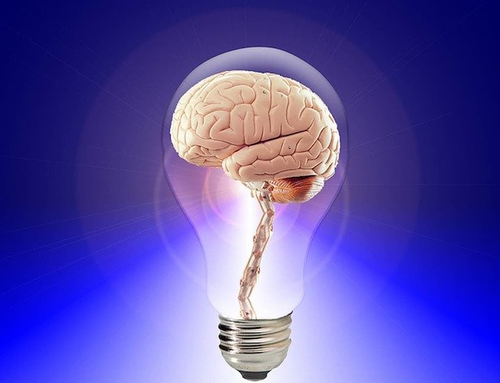 Fasoracetam Benefits