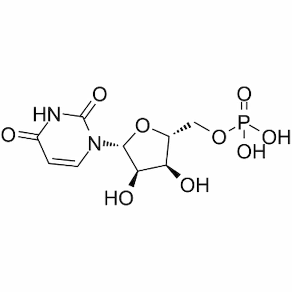how does uridine monophosphate work