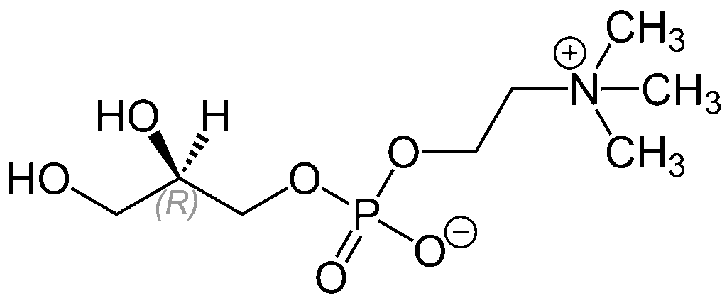 Alpha GPC Molecular Structure