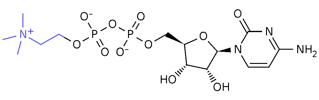 Alpha GPC Vs CDP Choline