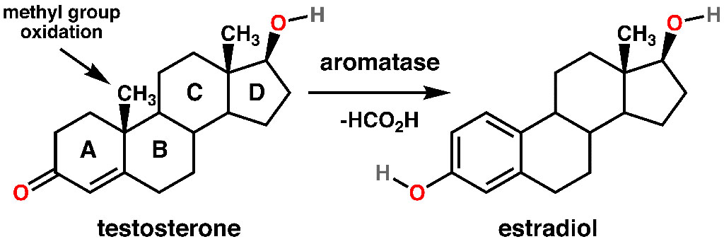 How Arimistane Works