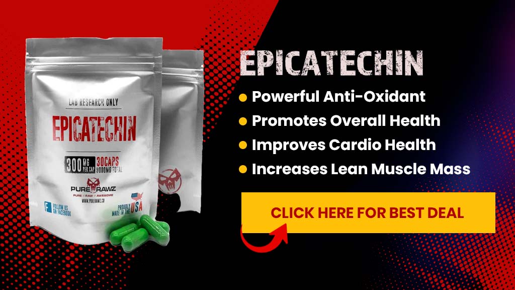 Epicatechin Benefits for Bodybuilding