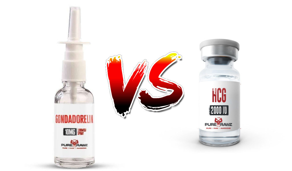 Gonadorelin Vs HCG