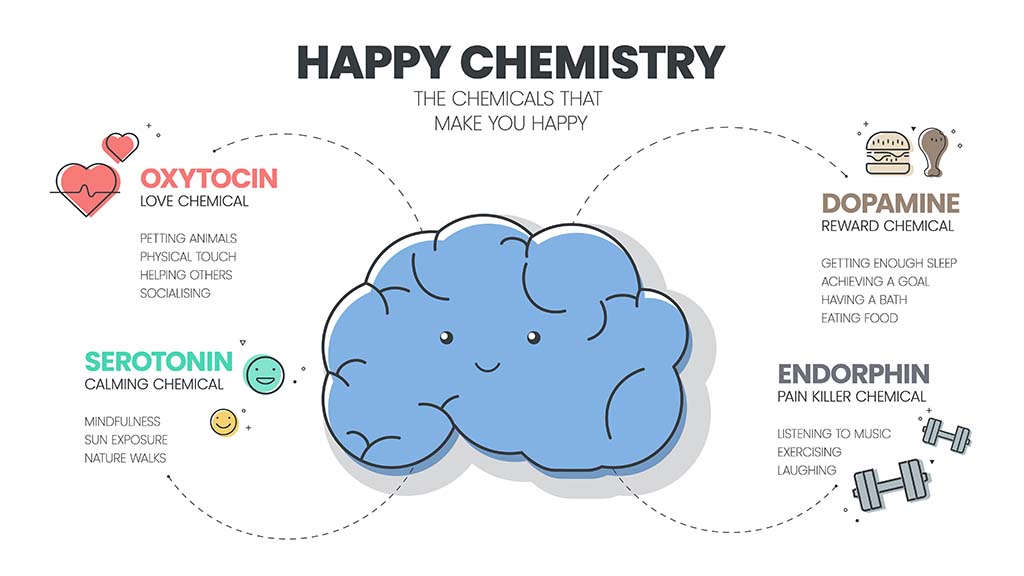 Happy Chemistry Dopamine Oxytocin Serotonin Endorphins
