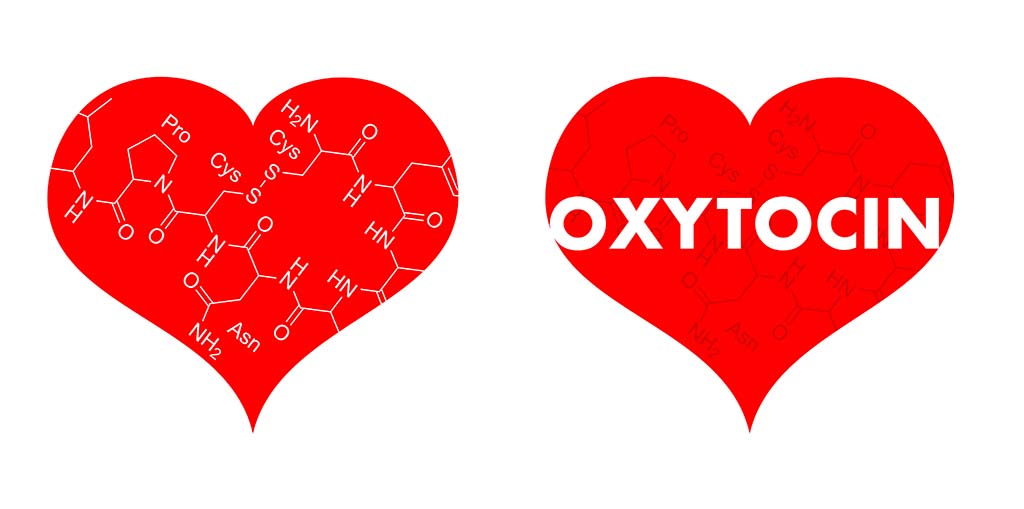 What Does Oxytocin Feel Like?