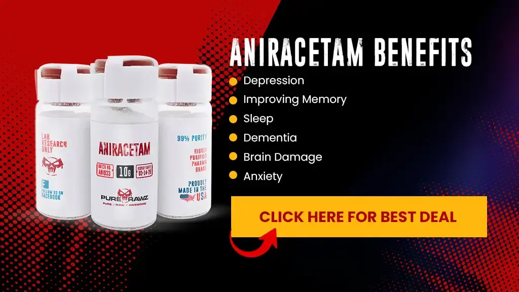 Aniracetam Benefits /Nanotech Project 