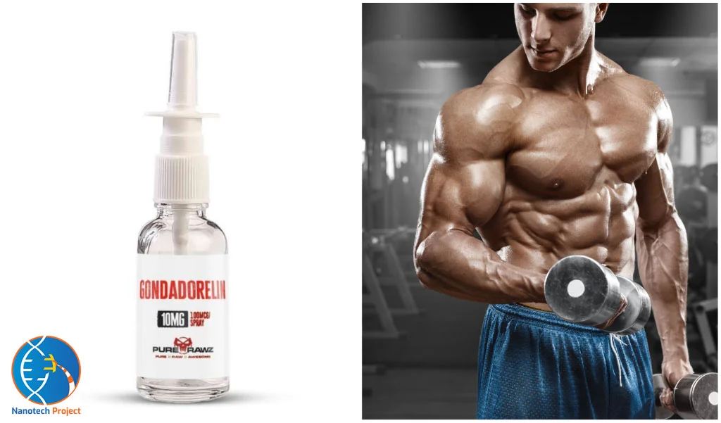 Gonadorelin-Guide-Nanotech-Project
