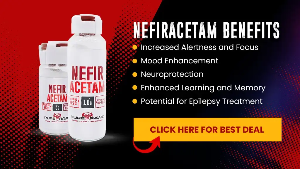 Nefiracetam Benefits /Nanotechproject 