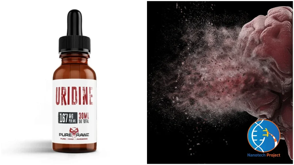 Uridine Monophosphate Guide