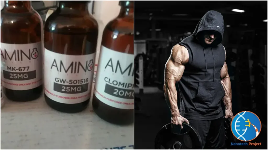 amino-asylum-review-guide