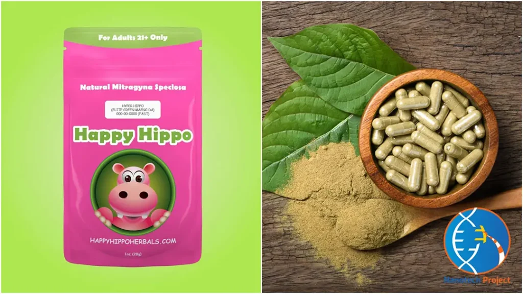 Hyper Hippo Review