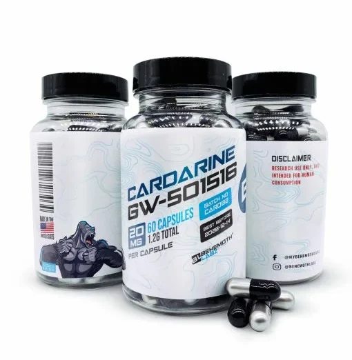 B8-Cardarine-GW-501516-20mg-60ct-BH-3-scaled-510x680-1-e1736421386802.webp
