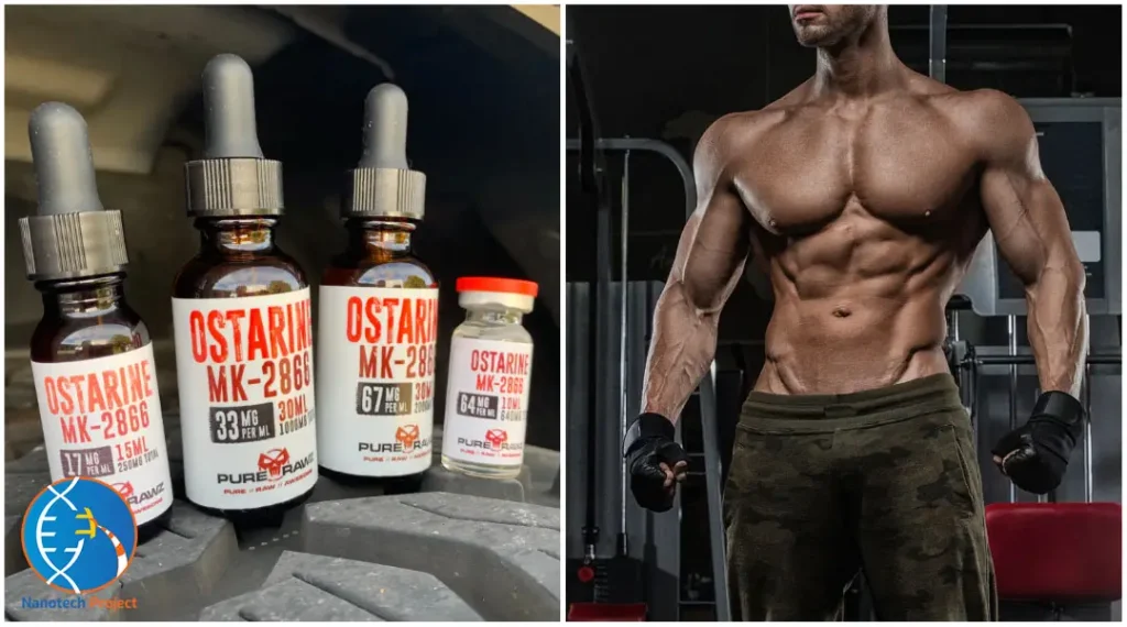 Ostarine-Guide-MK-2866-Vials-Bodybuilder