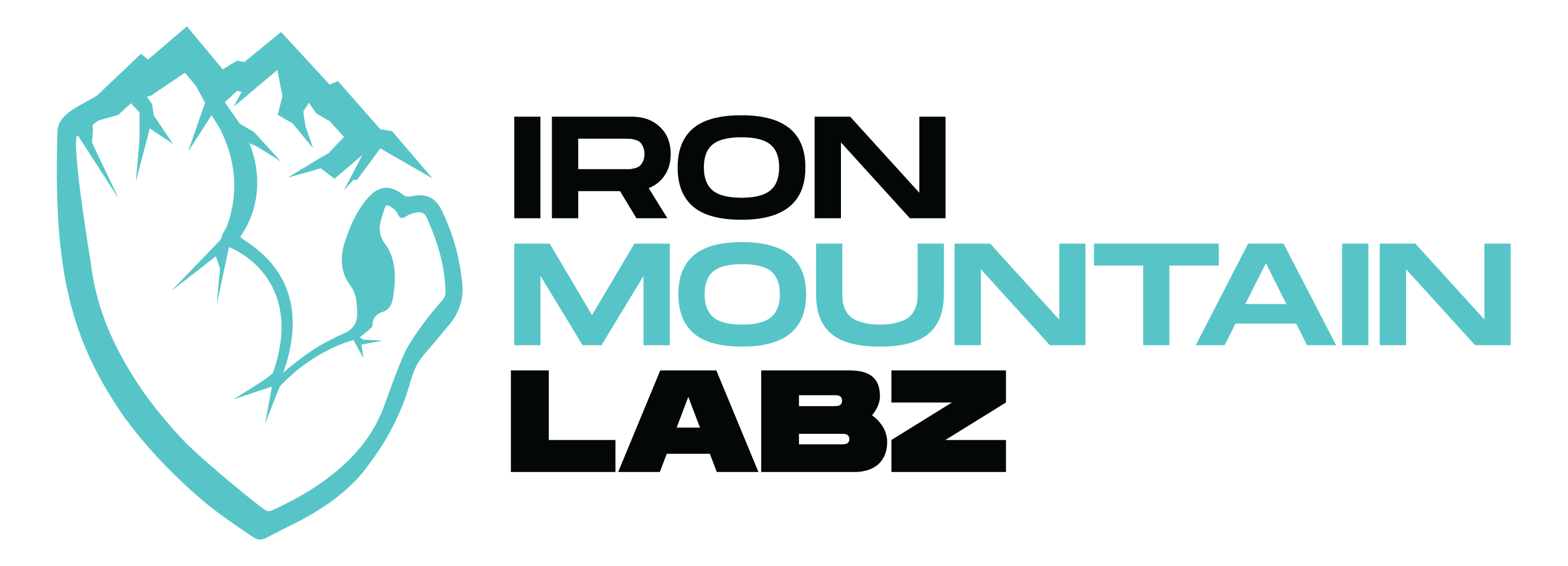 IML-logo
