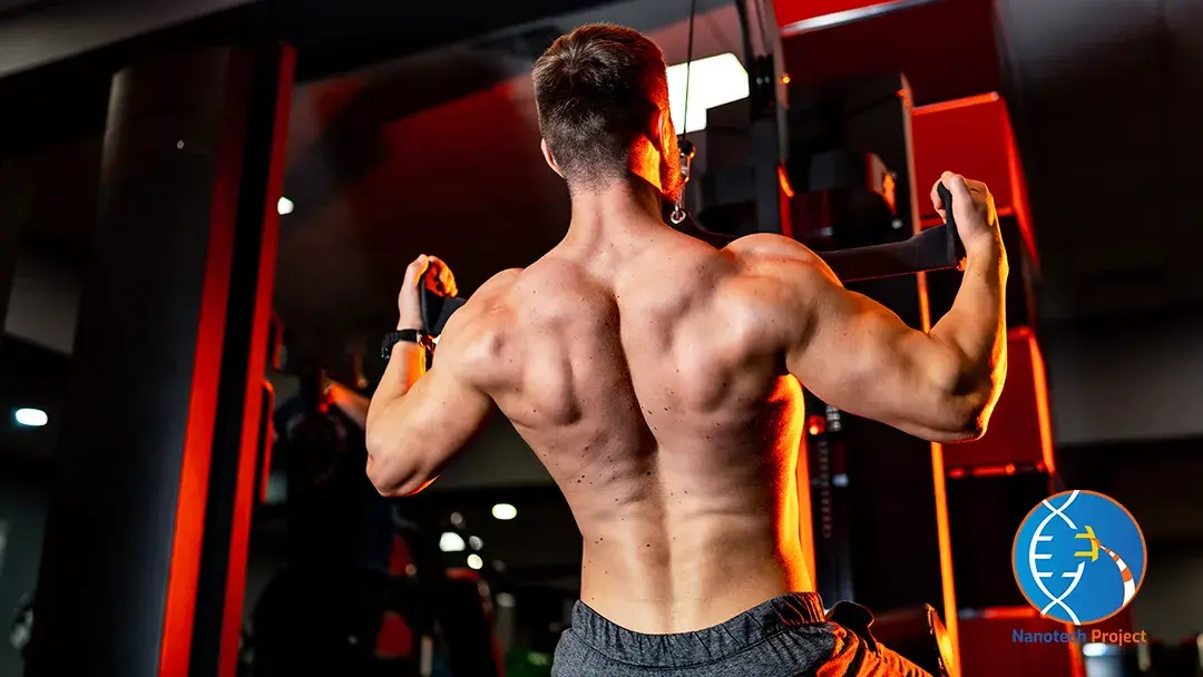 HGH Vs Testosterone